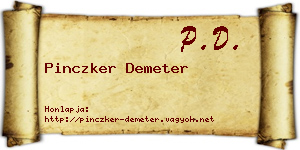 Pinczker Demeter névjegykártya